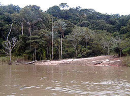 Кораб потъна в Амазонка, 7 загинаха