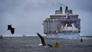 Един човек загина при инцидент на най-големия круизен кораб в света