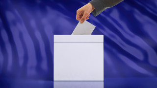 На изборите за Европейски парламент почти 50 от българите са