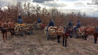 Бракониери нападнаха горски инспектор край сливенското село Градец