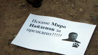 Кучета искат Найденов за президент и повече помияри във властта