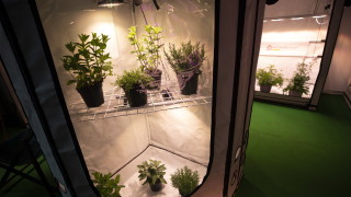 Канада е на път да се превърне в първата държава