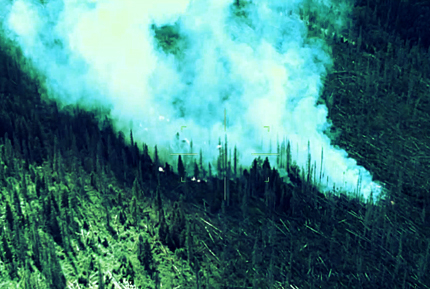 Еколозите виновни за пожара, според тях пък той е умишлено запален