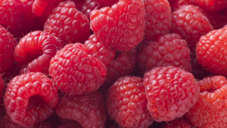 Депресията тревожността и високите нива на стрес са почти ежедневие