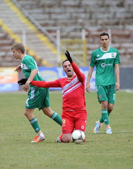 Няма пари за лечение на Апата