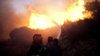 Евакуират хора заради пожари в Израел и на Западния бряг