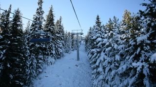 "Витоша ски": Процедурата на СО за Княжевския лифт е незаконна
