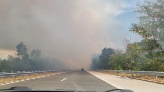 Над 100 000 дка за изгорели в Югоизточна България до