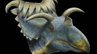 Откриха нов уникален динозавър в САЩ
