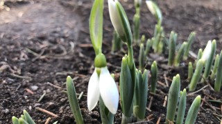 В низините и равнините отново ще се образува ниска облачност