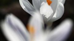 Уикендът започва с мъгли, а след това слънце