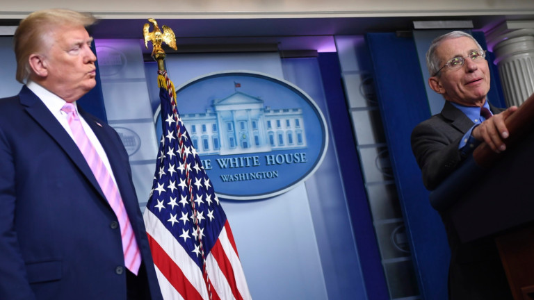 Изображение 475589