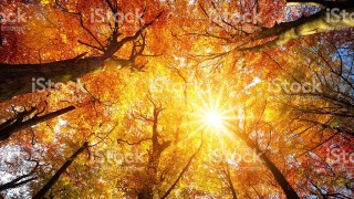 Денят ще започне с мъгли и ниска облачност в низините