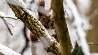 Днес преди обяд над страната ще има временни увеличения на