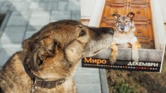 3 календара с кауза за 2026 г.