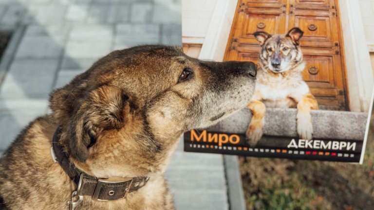 3 календара с кауза за 2026 г.