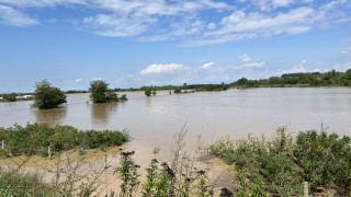 Частично бедствено положение е обявено в община Георги Дамяново Причина