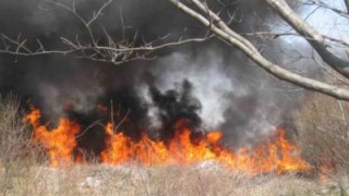 На няколко места около град Благоевград възникнаха пожари Около 16