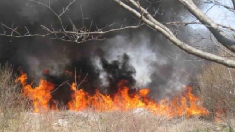 На няколко места около град Благоевград възникнаха пожари. Около 16