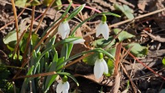 Жълт код за валежи или силен вятър в половината области 