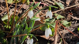 Днес на повече места в западните и северните райони ще