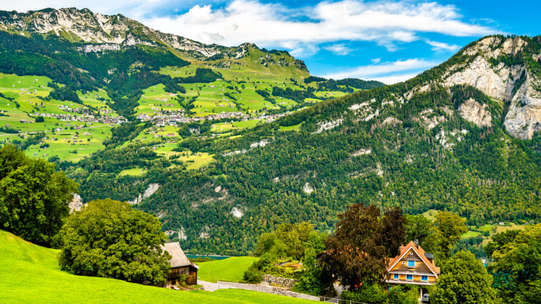 Изображение 496689