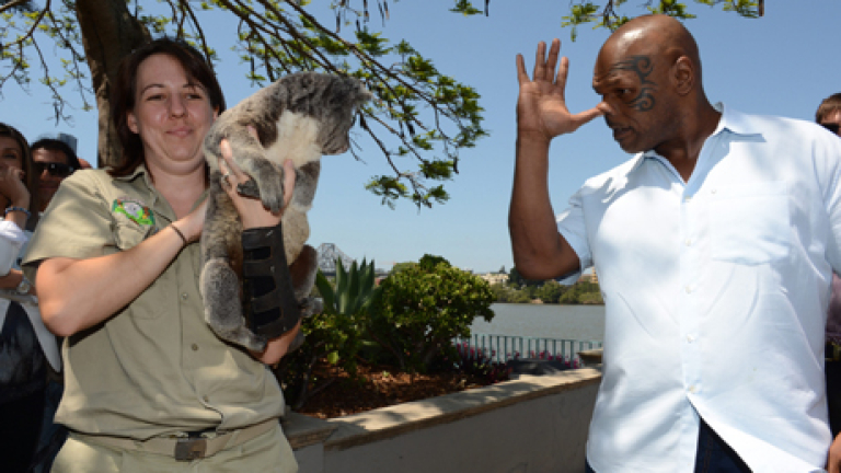 Изображение 146989