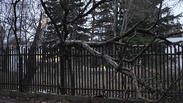 Изображение 746989