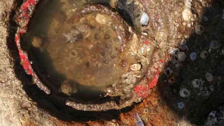 Изображение 297189