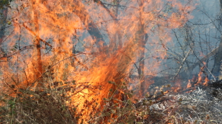 Пожар затвори АМ "Тракия" от 5-ти до 13-ти километър