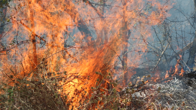 Пожар бушува във вилната зона на Казанлък 