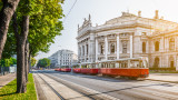  Виена, Мюнхен, Берлин и кои са най-зелените градове на света за 2020 година 