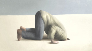 Австрийският канцлер Карл Нехамер анонсира че Австрия се противопоставя на