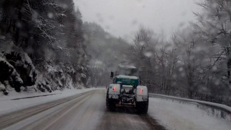 Изображение 518489