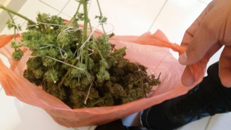 Изображение 319489