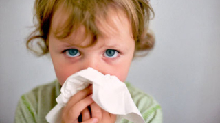Ваксините срещу грип - имат ли ефект?