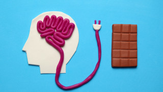 Какво прави захарта с мозъка ни