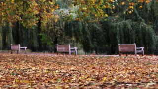 Дъжд и в петък