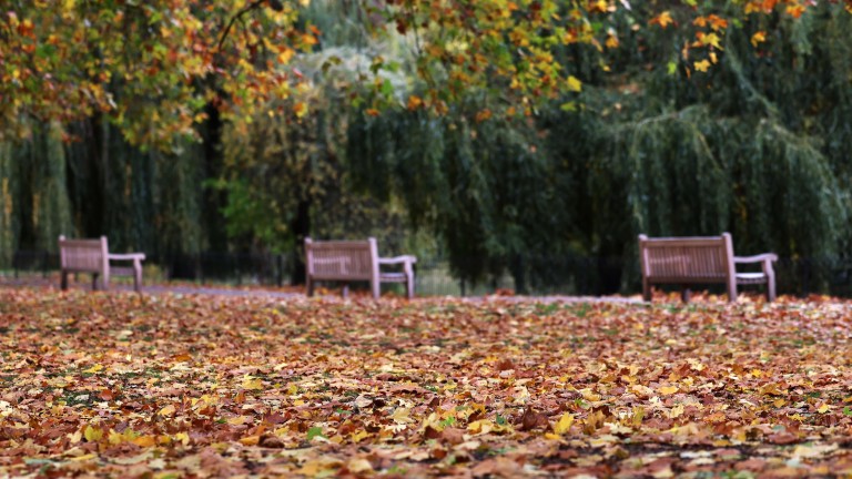 Изображение 739789