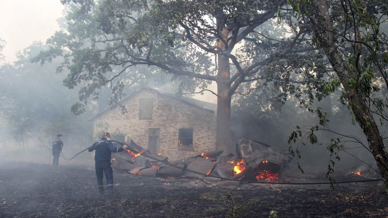 Изображение 360590