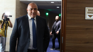 Бойко Борисов е натъжен че политиците се занимават с кокошкарски