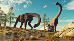 Учените откриха вкаменелости на динозавър, убит в деня на астероидния удар