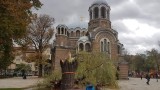 Падна една от върбите пред "Св. Седмочисленици" в София