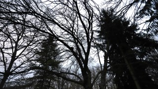 Днес ще преобладава слънчево и ветровито време Това съобщават от