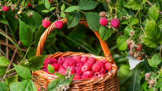Високата цена на водата изкара на протест производители