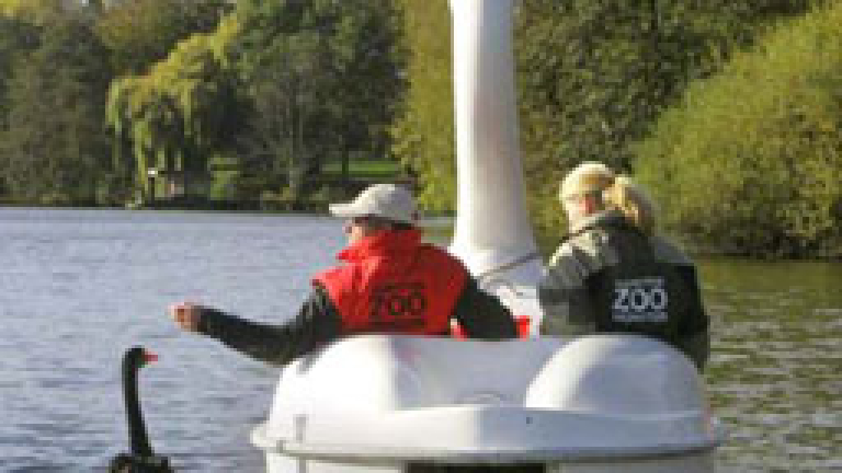 Изображение 22590