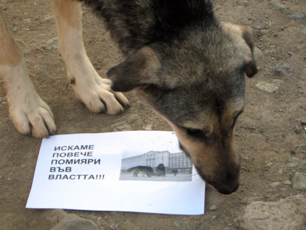 Изображение 133190