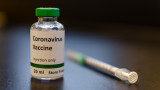  Първите ваксини за ковид - най-рано след година 
