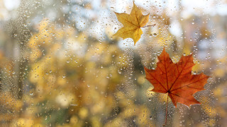 Днес от запад облачността ще продължи да се увеличава и