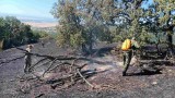 Пожари горят във Варненско, Пловдивско, Хасковско, Русенско, Бургаско и Старозагорско